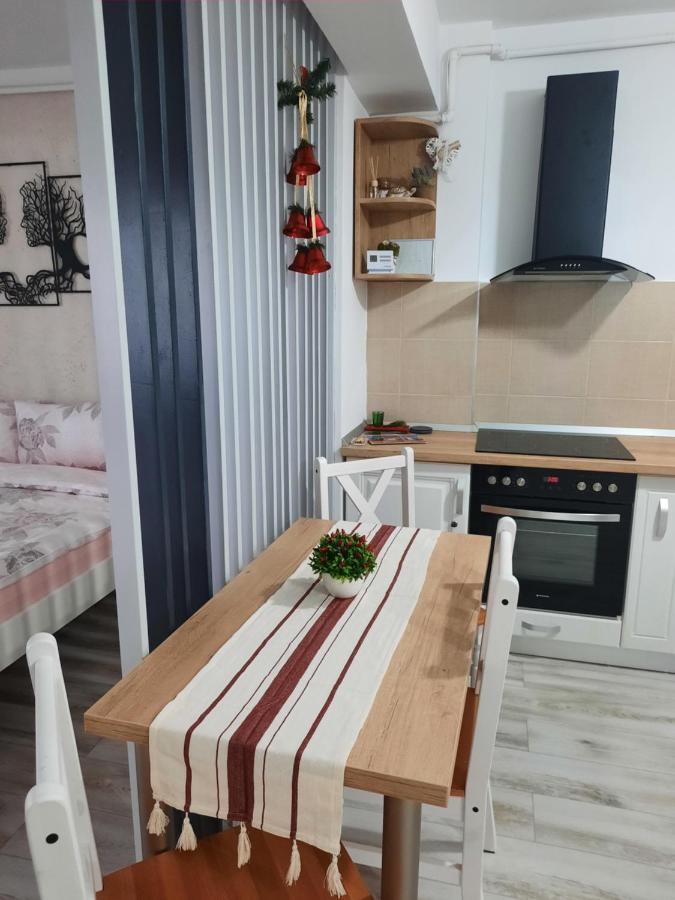 Olivia'S Home Sibiu Extérieur photo